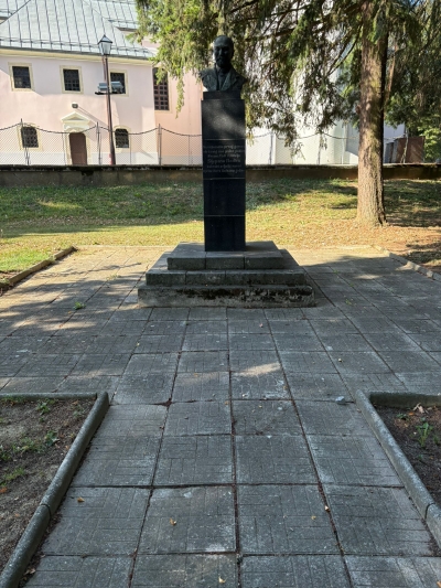 Pranje spomenika parom 2
