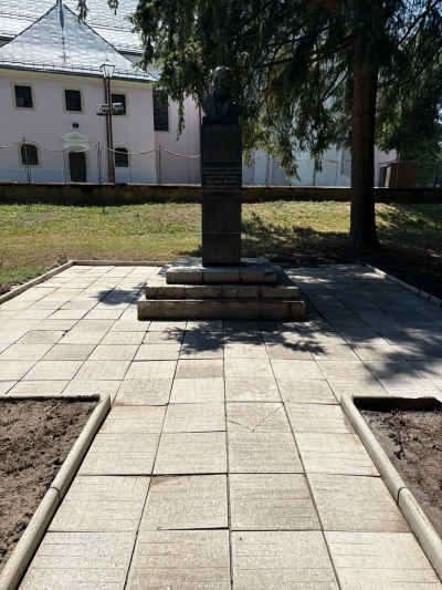 Pranje spomenika parom 4